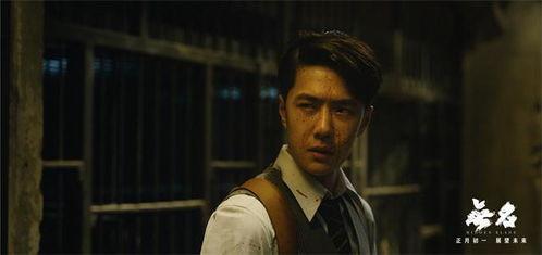 无名视频,探寻未知世界的奥秘